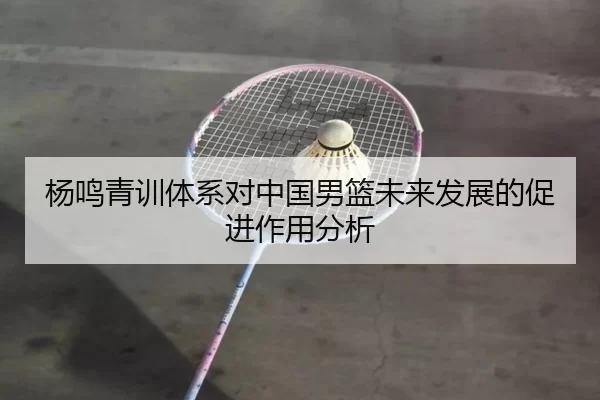 杨鸣青训体系对中国男篮未来发展的促进作用分析